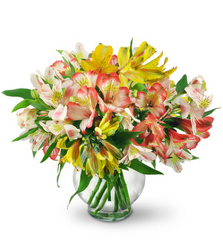 Perfect Alstroemeria from Brennan's Florist and Fine Gifts in Jersey City