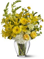 Summer Breeze  from Brennan's Florist and Fine Gifts in Jersey City
