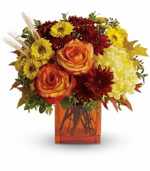 Fall Expression from Brennan's Florist and Fine Gifts in Jersey City