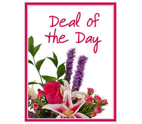 Deal of the Day - Valentine's Day from Brennan's Florist and Fine Gifts in Jersey City