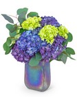 Hydrangea Harmony from Brennan's Florist and Fine Gifts in Jersey City