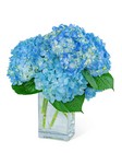 Hydrangeas In Blue from Brennan's Florist and Fine Gifts in Jersey City
