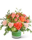 Coral Revival from Brennan's Florist and Fine Gifts in Jersey City