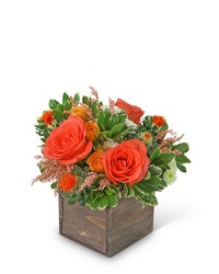 Santa Barbara from Brennan's Florist and Fine Gifts in Jersey City