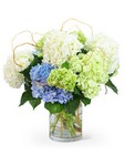 "Hello, Hydrangea!" from Brennan's Florist and Fine Gifts in Jersey City
