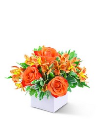 Tangerine Twist from Brennan's Florist and Fine Gifts in Jersey City