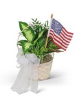 Patriotic Planter from Brennan's Florist and Fine Gifts in Jersey City