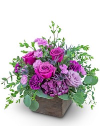 Violet Harmony from Brennan's Florist and Fine Gifts in Jersey City