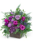 Violet Enchantment from Brennan's Florist and Fine Gifts in Jersey City