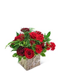 Holiday Spice from Brennan's Florist and Fine Gifts in Jersey City
