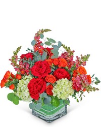Positano Paradise from Brennan's Florist and Fine Gifts in Jersey City