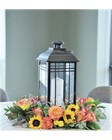 Sunset Lantern from Brennan's Florist and Fine Gifts in Jersey City