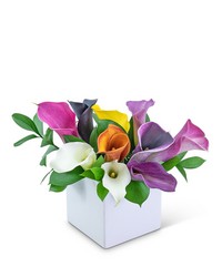 Calming Calla Lilies from Brennan's Florist and Fine Gifts in Jersey City
