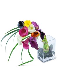 Captivating Calla Lilies from Brennan's Florist and Fine Gifts in Jersey City