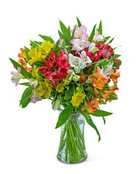 Cheerful Alstroemeria from Brennan's Florist and Fine Gifts in Jersey City