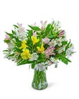 Lovely Peruvian Lilies from Brennan's Florist and Fine Gifts in Jersey City