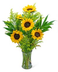 Sunflower Fields from Brennan's Florist and Fine Gifts in Jersey City