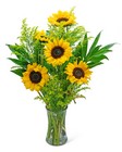 Sunflower Fields from Brennan's Florist and Fine Gifts in Jersey City