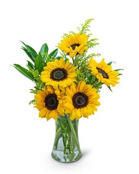 Sunflower Sunshine from Brennan's Florist and Fine Gifts in Jersey City