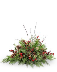 Evergreen Embrace from Brennan's Florist and Fine Gifts in Jersey City