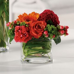 Dazzling Delight from Brennan's Florist and Fine Gifts in Jersey City