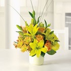 Sunshine Splender from Brennan's Florist and Fine Gifts in Jersey City