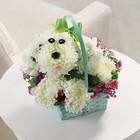 Precious Poodle from Brennan's Florist and Fine Gifts in Jersey City